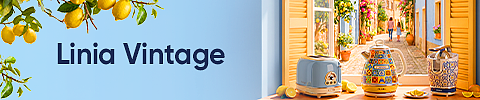 480x100_linia vintage.png